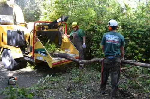 tree services Lake Hughes